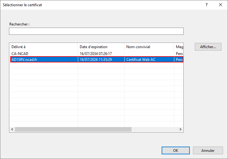 GESTIONNAIREDESERVEUR IIS Default Web Site SELECTIONNER CERTIFICAT CERTSRV.png
