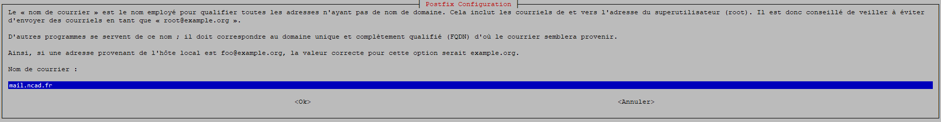 POSTFIX INSTALL INTERNET REVERSEPROXY STEP2.png