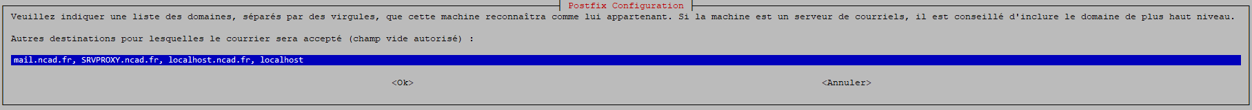 POSTFIX INSTALL INTERNET REVERSEPROXY STEP4.png