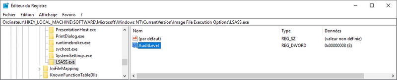 Fichier:MMCREGEDIT HKLM SOFTWARE MICROSOFT WINDOWSNT CURRENTVERSION IMAGE FILE EXECUTION OPTIONS LSASS.png